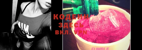 индика Абинск