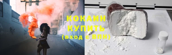 индика Абинск