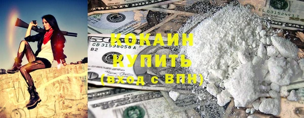 индика Абинск