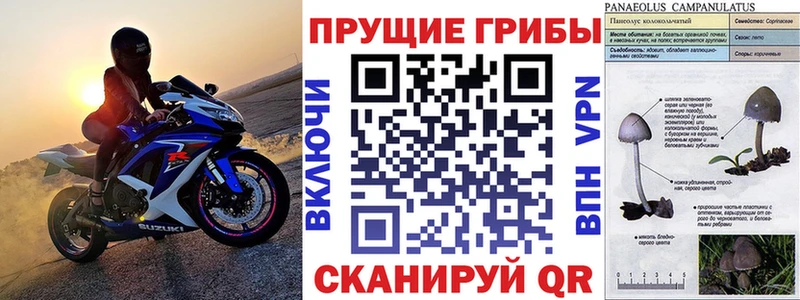 Галлюциногенные грибы мухоморы  сайты даркнета Telegram  Абдулино 
